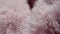 Texture of soft fluffy pink fur fabric. Faux hairy fur. Fluffy fake fur clothes, furry blanket. The camera moves through