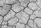 Texture soil Cracked arid pattern for background.