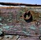 texture in spain lanzarote abstract brown window sky