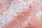 The texture of the stone. Coral, pink . Natural background . B