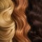 Texture of strands of curly hair of different colors and shades, red, blond, chestnut, brown, close-up macro,