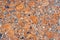 Texture - surface of a granite slab with orange splashes