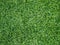 Texture and surface of green turf