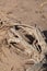 The texture of the surface of the old tree stump. Very old wood texture. The texture of the sawn wood. Close-up. The