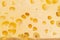 Texture of Swiss-type cheese with cheese\'s eyes