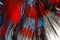 Texture of tail siamese fighting fish