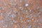 Texture on terracotta tiles left in the rain with the formation of mold spots of various colors