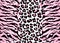 Texture tiger leopard black white pink repeating seamless print background vector