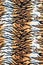 Texture of tiger striped fabric