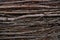 Texture of twigs of trees. Close up of fence from various tree branches. Concept of nature background for your text.