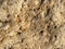 Texture of a wall of sandy rock from a yellow friable old rotten stone of rock with shards, holes and layers of sand. The