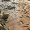 The texture of wet sand with footprints of people and wet stones on the ocean shore at low tide.