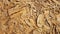Texture of wood chips