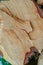Texture of wood saw cut wood uneven beige vertical photo closeup