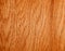 Texture of a wooden surface of an American walnut tree. Wood veneer for furnitur