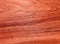 Texture of a wooden surface of a tree Australian eucalyptus. Wood veneer for furniture