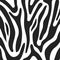 Texture of Zebra White and black stripes for the design of your products, fashionable texture for the cover of a magazine or