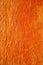 Textured abstract background in orange color