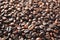 Textured background of coffee beans