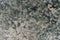 Textured and Background Grunge Concrete wall or dirty Cement floor, Concrete dirty with moldy