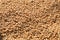 Textured background of many Wheat grains. Golden food crop harvest