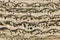 The textured background of stone wall art with yellowish-brown rust, striped lines, and wave-like.