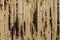 Textured bamboo wallpaper close-up, nature background