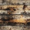 Textured and burnt wooden planks in a naturalistic style with post-apocalyptic backdrops (tiled