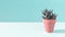 Textured cactus on sunlit blue background minimal