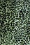 Textured fabric leopard background