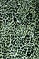 Textured fabric leopard background