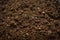 Textured fertile soil  for cultivation as background. The potting soil or peat is suitable for gardening and is one of the four