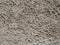 Textured Gray Plaster Wall Background