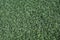 Textured green background of artificial turf, soccer field close up