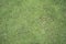 Textured ground grass green concept