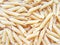 Textured Italian food background - uncooked penne pasta