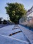 Textured landscape background with contrasts of lights and shadows of a school parking lot