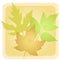 Textured Leaves Background