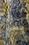Textured Mineral Surface