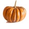 Textured orange pumpkin with a long tail on a white background