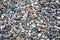 Textured pebbles on a rocky beach, from above