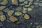 Textured pebbles in water with reflection of a sunlight is well suited for background