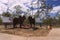 Textured rusty cutouts of bulls at entrance to Nebo.