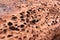 Textured Sandstone in the Utah Desert