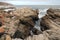 The textured shore line at Pinnacle Point