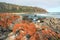 The textured shore line at Pinnacle Point