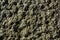 Textured stone background