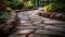 Textured Stone Path Background