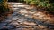 Textured Stone Path Background