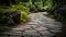 Textured Stone Path Background